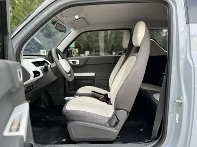 Galaxy Panda