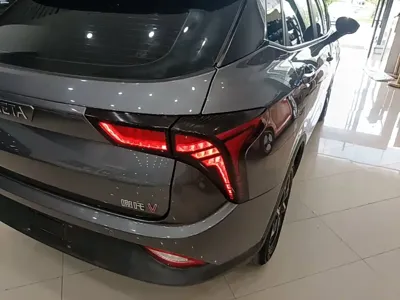 NETA Neta V