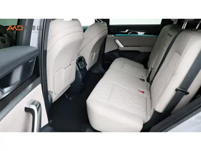 BYD Tang New Energy