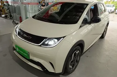 BYD Dolphin