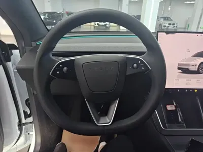 Tesla Model Y L