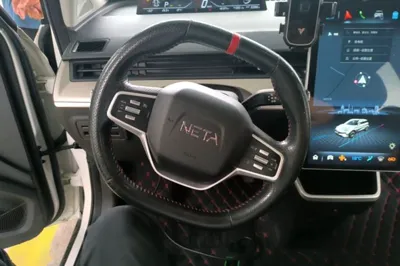 NETA V