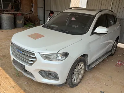 Haval H2