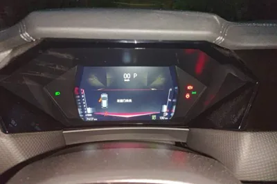 DS 4