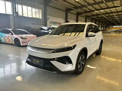 BYD Pro New Energy