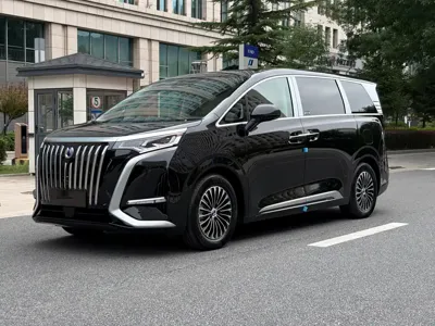 Denza Denza D9