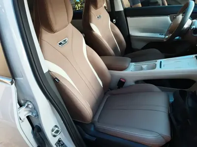 Wuling 缤果S