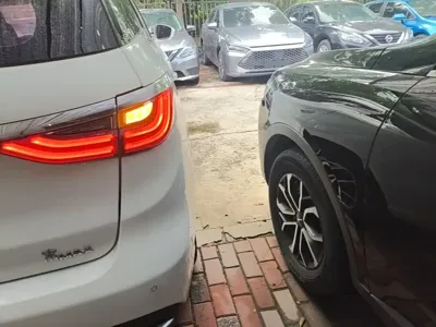 BYD MAX