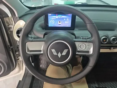 Wuling Bingo