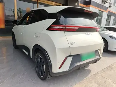 BYD Seagull