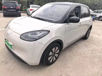 Wuling Bingo