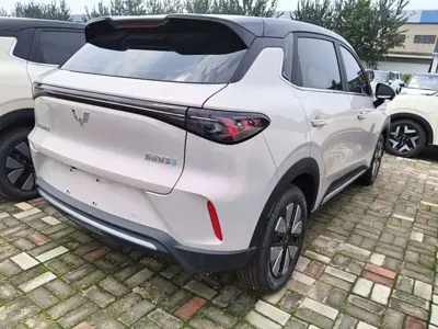 Wuling 缤果S