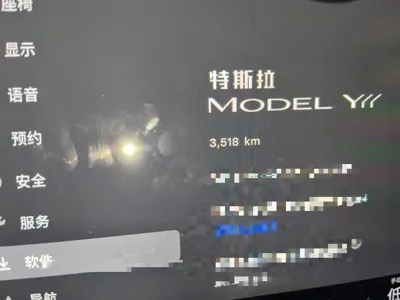 Tesla Model Y L