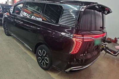 Hongqi HQ9