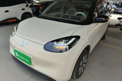 Wuling Bingo
