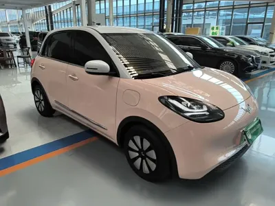 Wuling Bingo