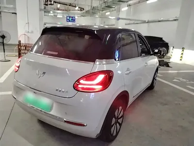 Wuling Bingo