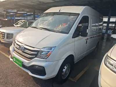 Maxus V80