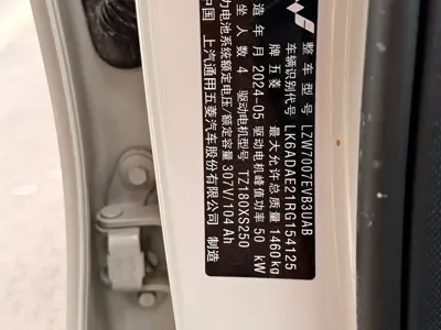 Wuling Bingo