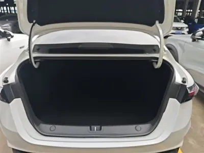 Geely Binrui