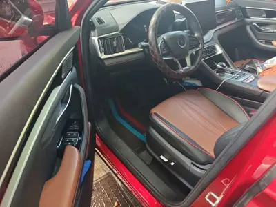 BYD PLUS