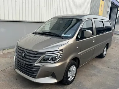 Fengxing Lingzhi