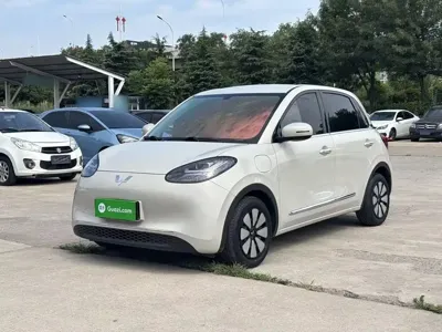 Wuling Bingo