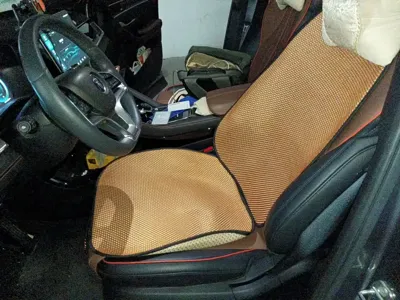 BYD PLUS
