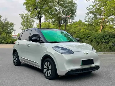 Wuling Bingo