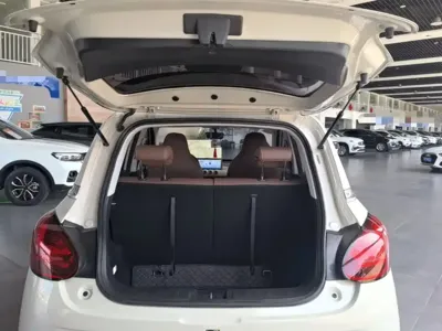 Wuling Bingo