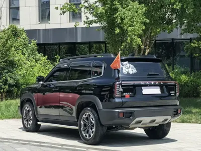 Haval Big Dog