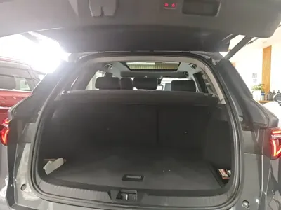 BYD Pro New Energy