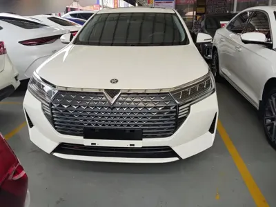 Venucia D60