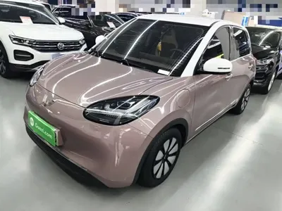 Wuling Bingo