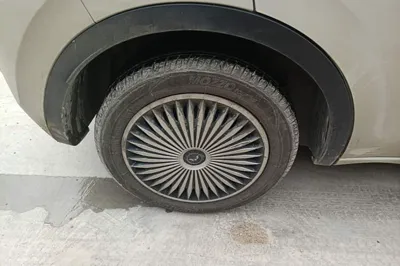 Wuling Bingo