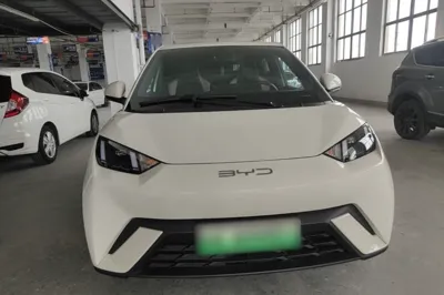 BYD Seagull