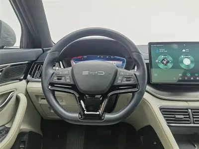 BYD PLUS New Energy