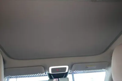 Zeekr X