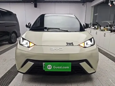 BYD Seagull