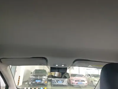 NETA Neta V