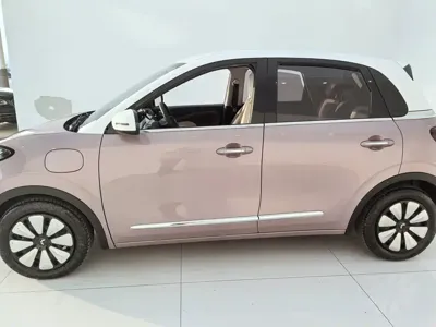 Wuling Bingo