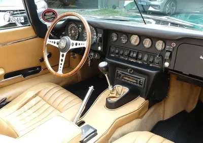 Jaguar Others