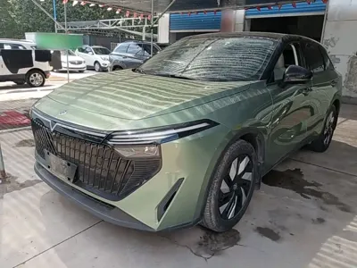 Venucia V DD-i