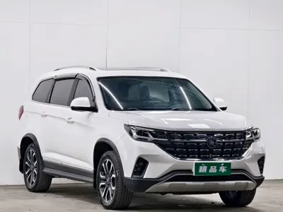 Fengxing Fengxing T5