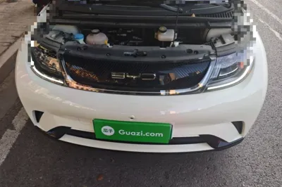 BYD Dolphin