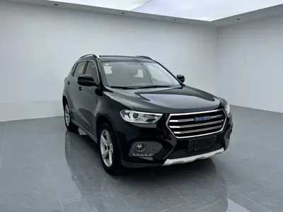 Haval H2