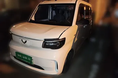 Wuling Zhiguang New Energy
