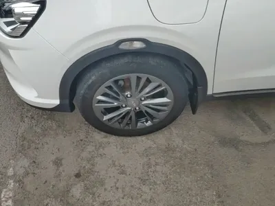 NETA Neta V
