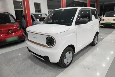 Geely Galaxy Panda