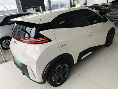 BYD Seagull